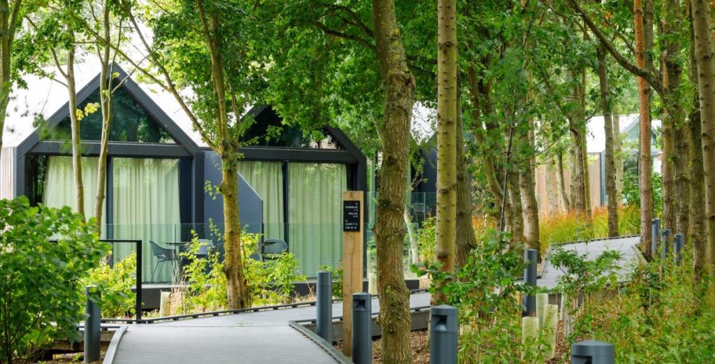 View to the woods from a Feldon Valley lodge